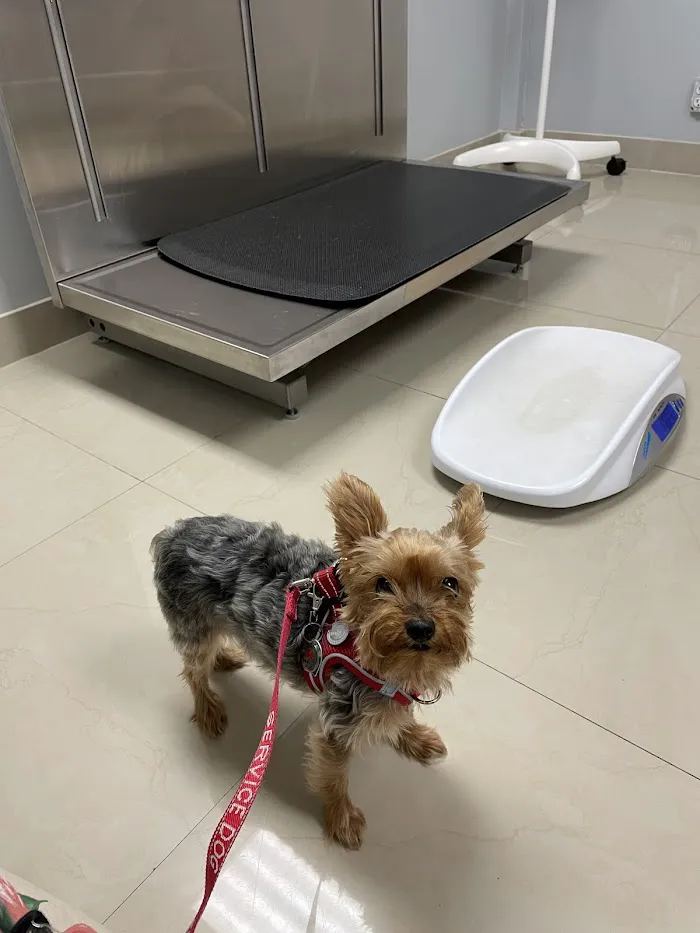 Alma Vet Connection 12