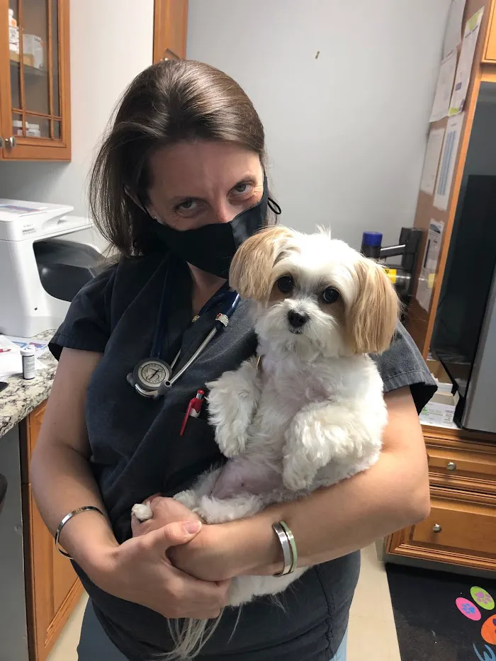 Alma Vet Connection 12