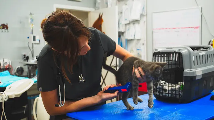 Alma Vet Connection 12
