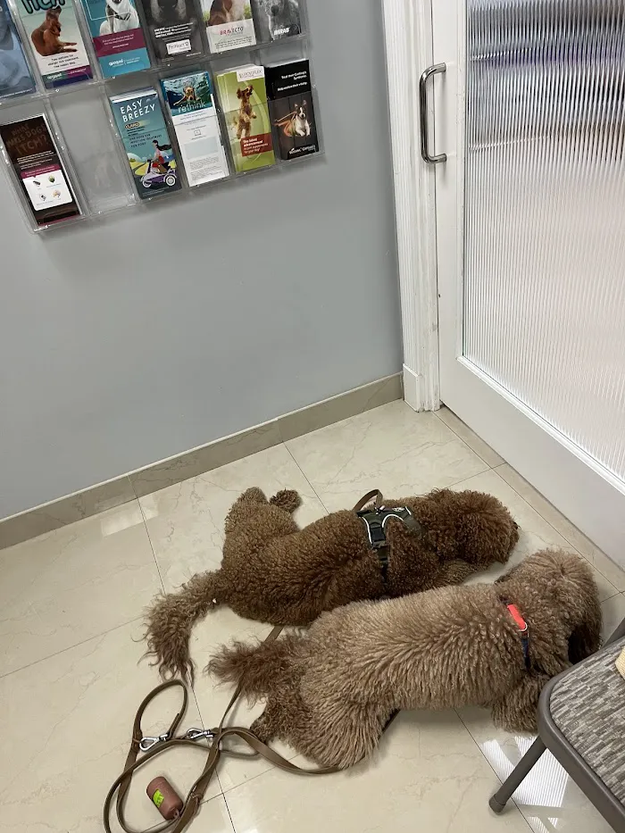 Alma Vet Connection 12