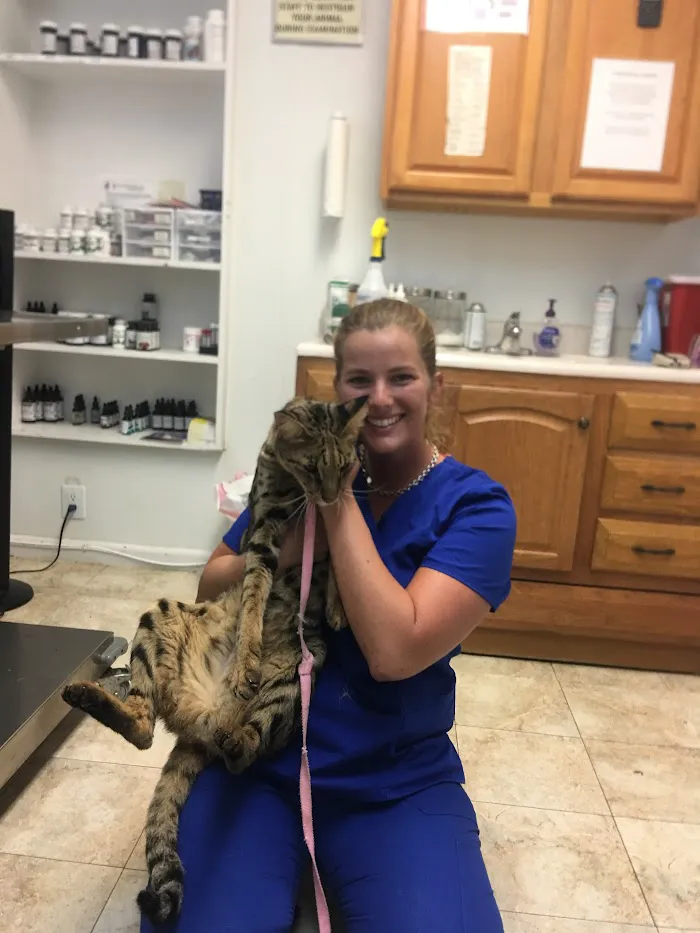 Palms West Veterinary Hospital 12