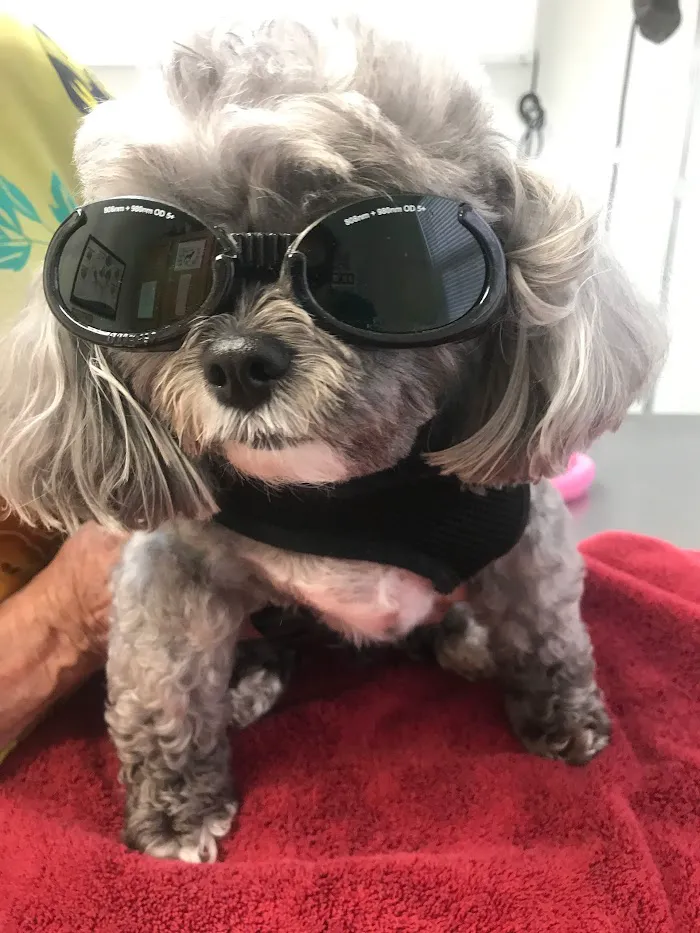 Palms West Veterinary Hospital 12