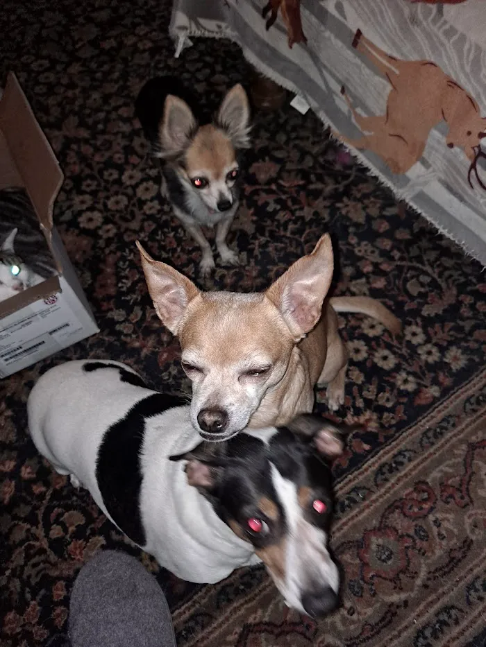 Loxahatchee Groves Veterinary Clinic 12
