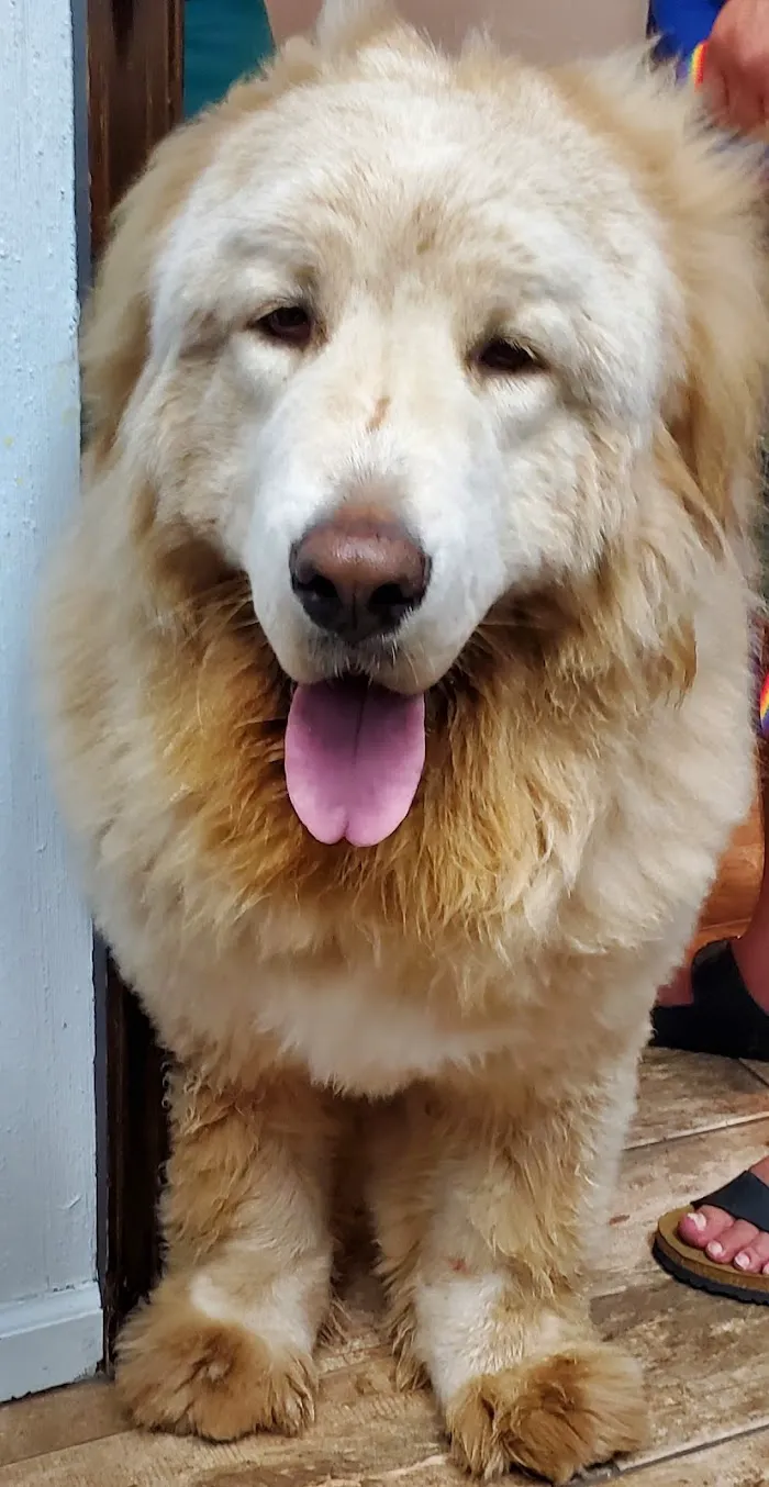 Loxahatchee Groves Veterinary Clinic 12