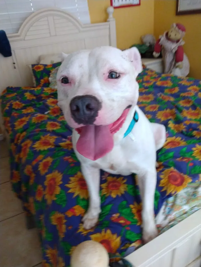 Loxahatchee Groves Veterinary Clinic 12
