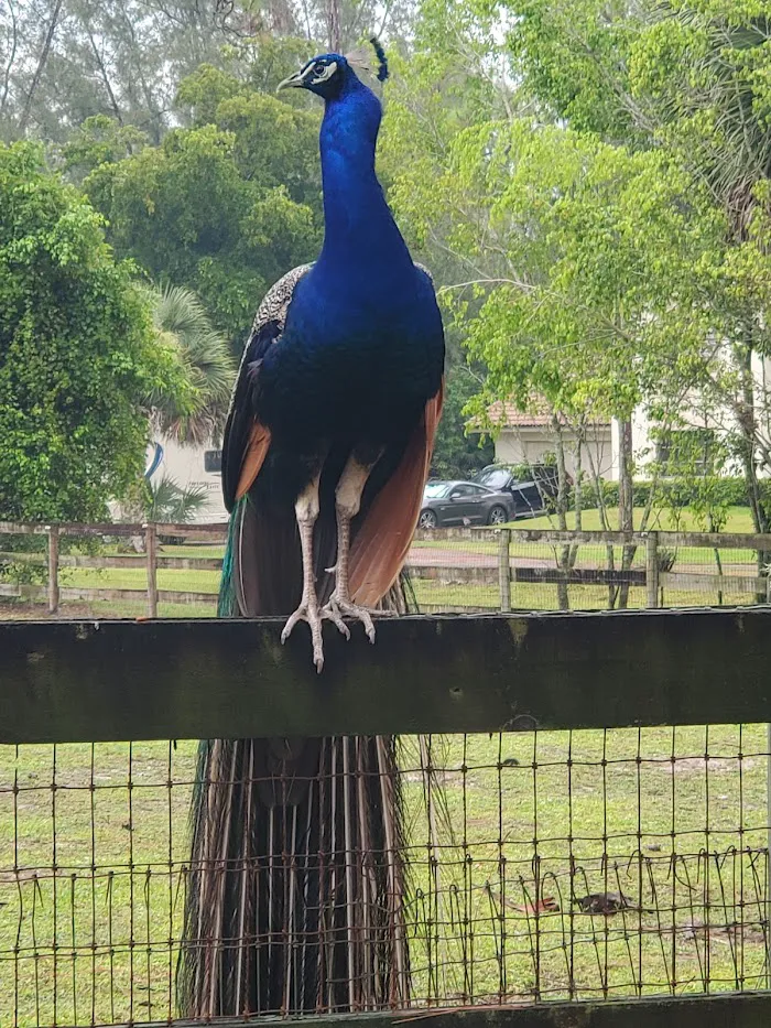 Loxahatchee Groves Veterinary Clinic 12