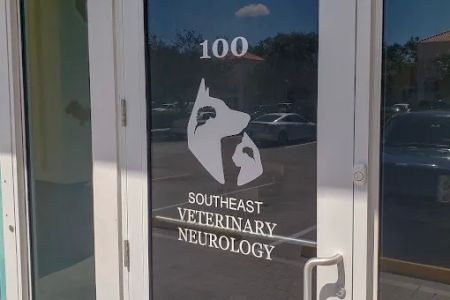 Southeast Veterinary Neurology