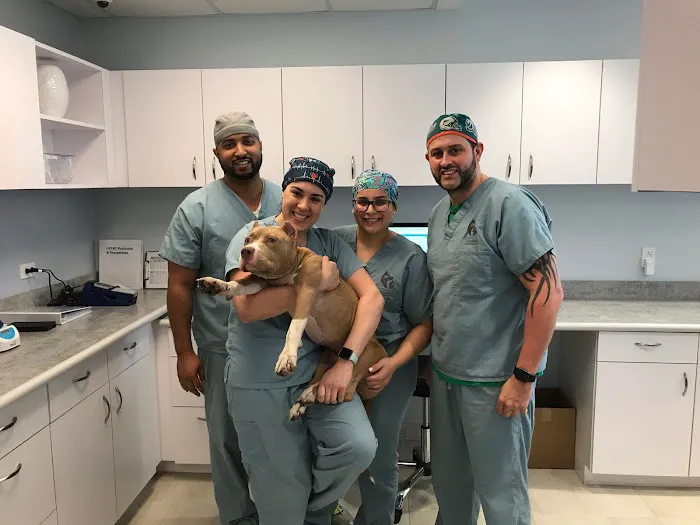 Southeast Veterinary Neurology 12