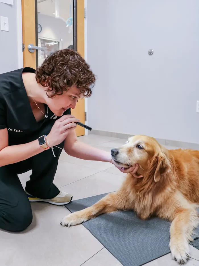Southeast Veterinary Neurology 12