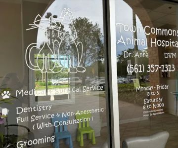 Town Commons Animal Hospital