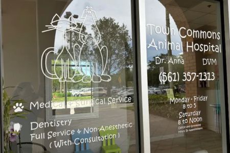 Town Commons Animal Hospital