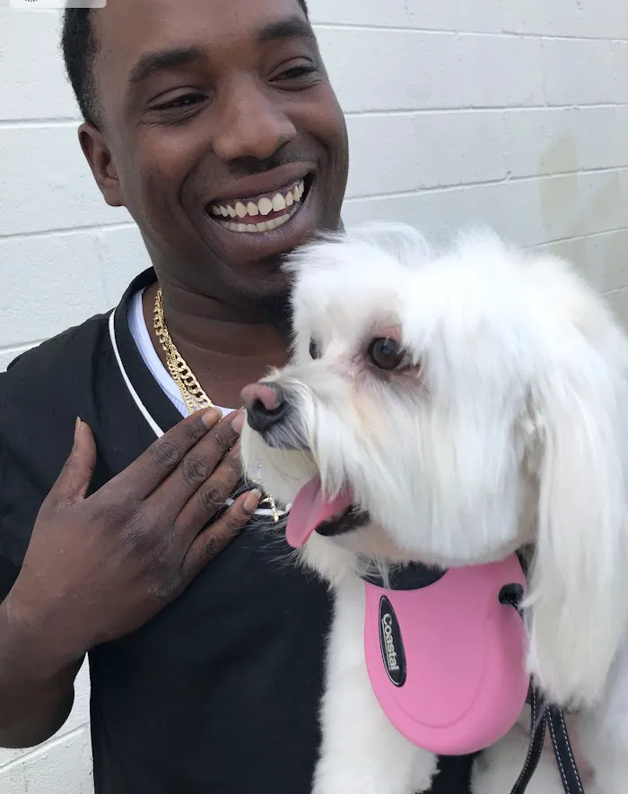 PetLife Animal Hospital 12