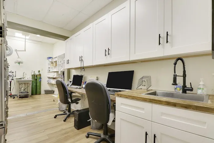 PetLife Animal Hospital 12