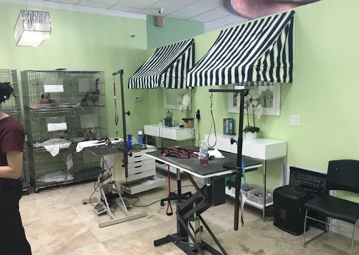 PetLife Animal Hospital 12