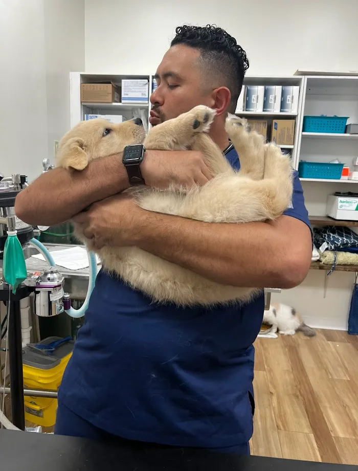 PetLife Animal Hospital 12