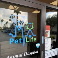 PetLife Animal Hospital ico