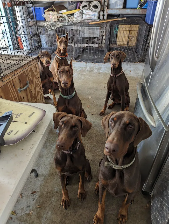 Mid County Veterinary Hospital 12