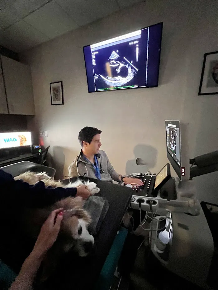 CVCA Cardiac Care for Pets - West Palm Beach 12