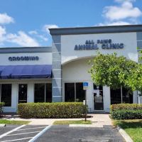 All Paws Animal Clinic ico