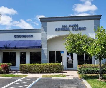All Paws Animal Clinic
