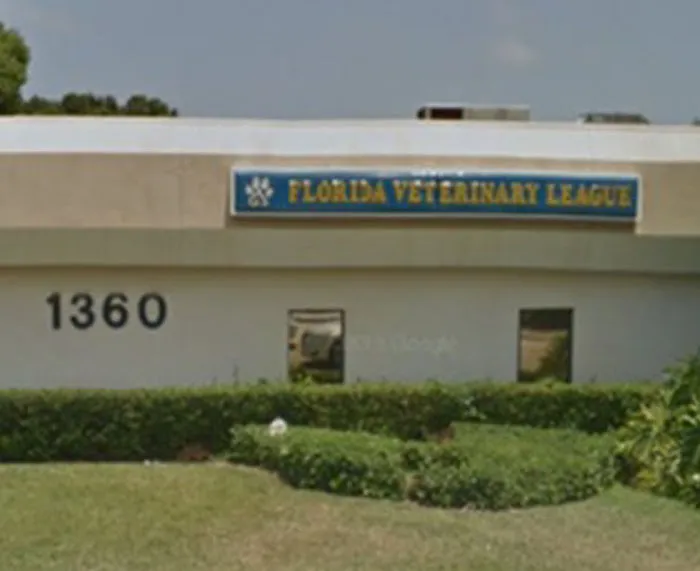 VCA Florida Veterinary League 6