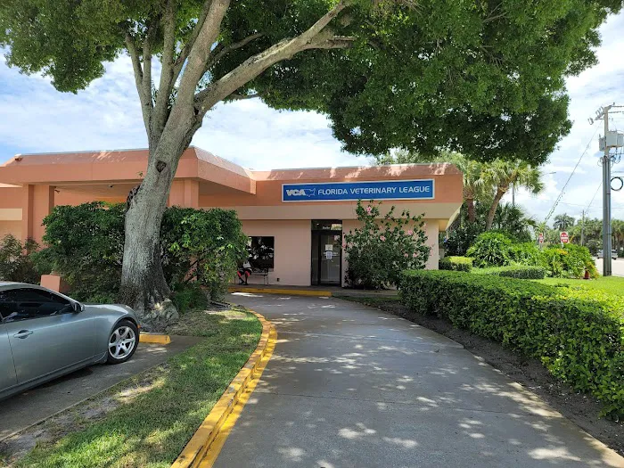 VCA Florida Veterinary League 5