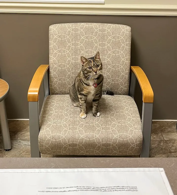 Veterinary Medical Center of Indian River County 6