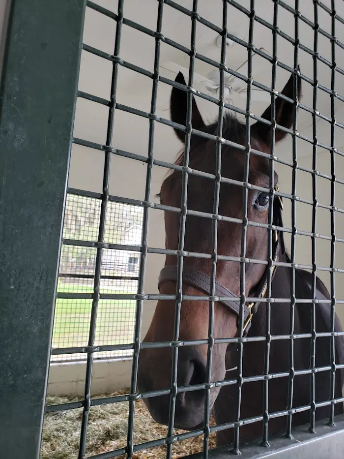 Ocala Equine Hospital 12