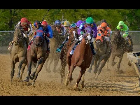 Ocala Equine Hospital 12