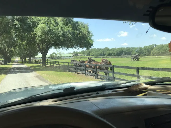 Buena Vista Farm Equine Reproduction And Foaling Center 12
