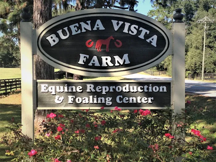 Buena Vista Farm Equine Reproduction And Foaling Center 12