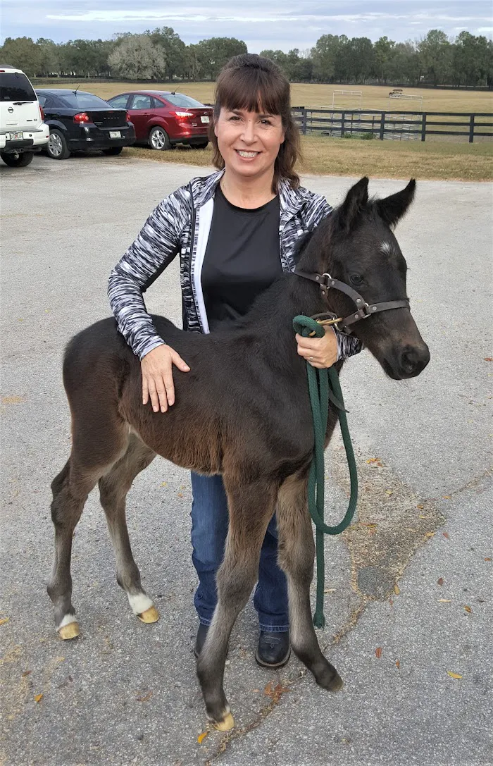 Buena Vista Farm Equine Reproduction And Foaling Center 12