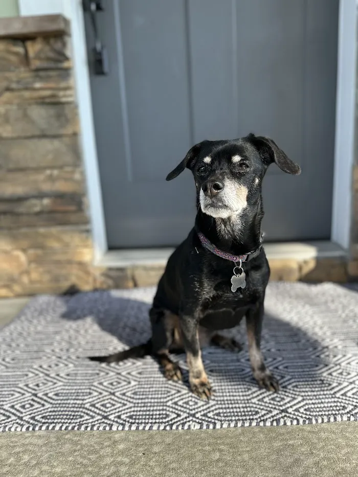 Withlacoochee Trail Animal Clinic 9