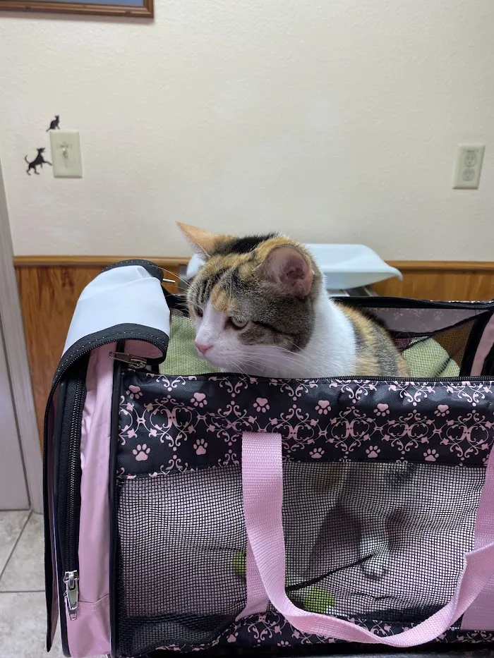 Withlacoochee Trail Animal Clinic 2