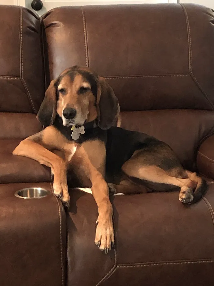 Withlacoochee Trail Animal Clinic 8