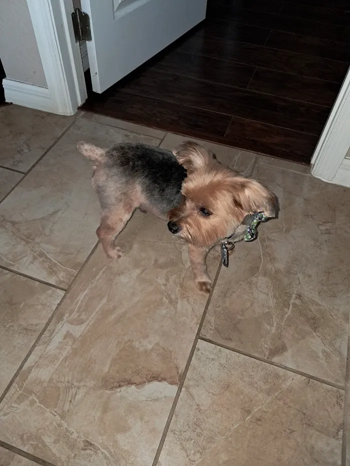 Skylark Animal Hospital 12
