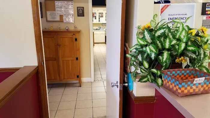 Skylark Animal Hospital 12