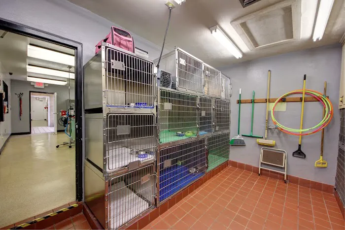 Maricamp Animal Hospital 12