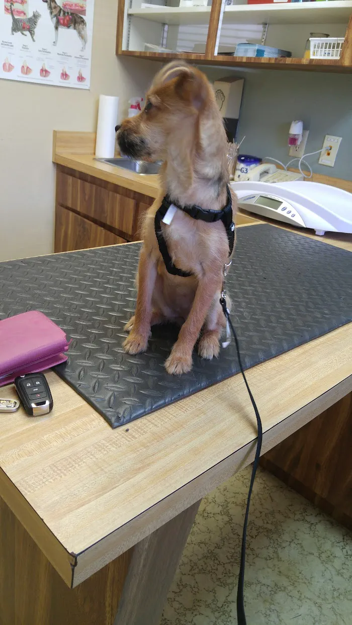 Ocala Square Animal Clinic 12
