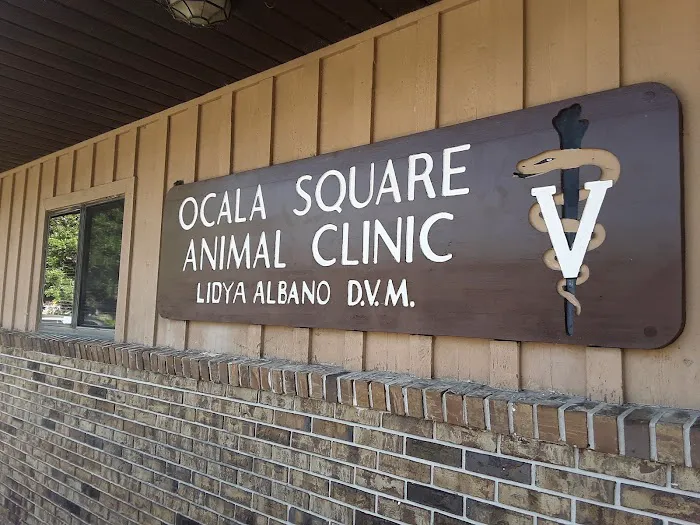 Ocala Square Animal Clinic 12
