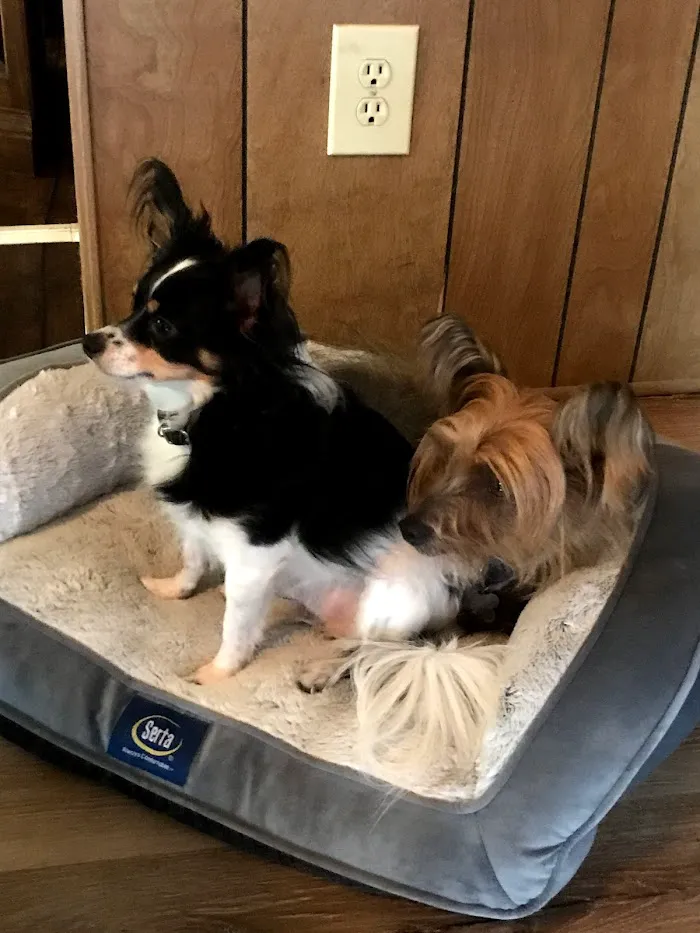 Ocala Square Animal Clinic 12
