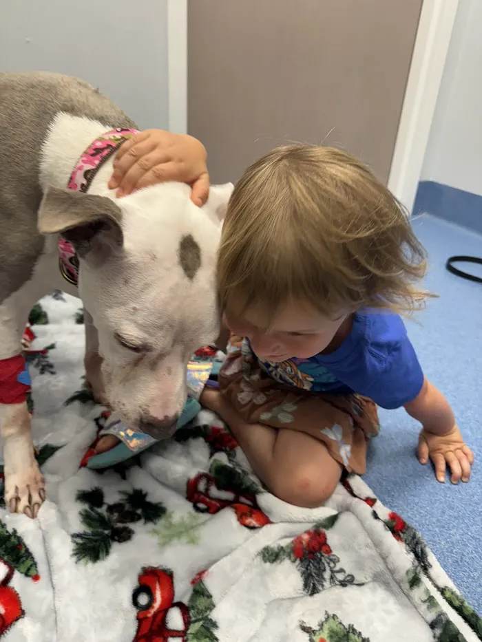 Humane Society of Marion County Animal Clinic 12
