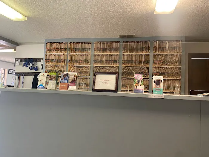 Rainbow River Animal Hospital 7
