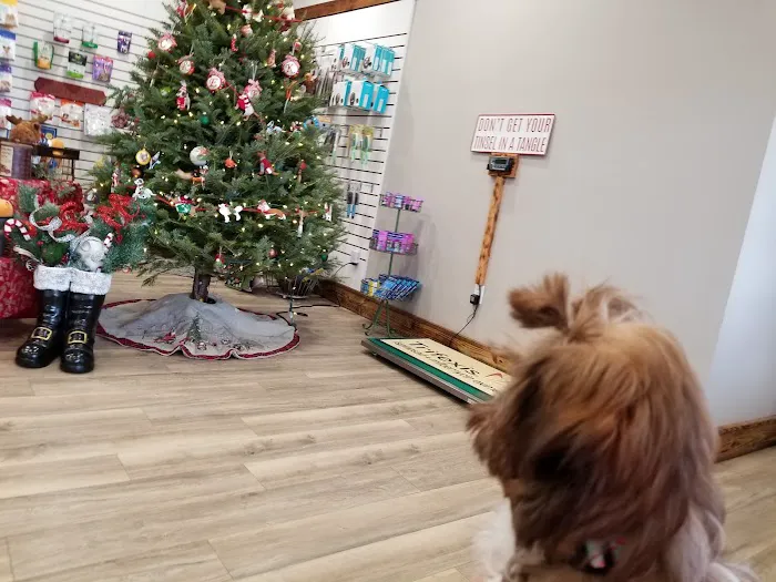 Fox Creek Animal Hospital 12