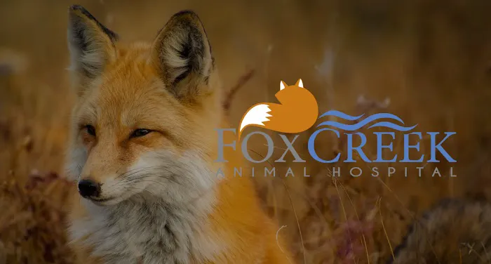 Fox Creek Animal Hospital 12