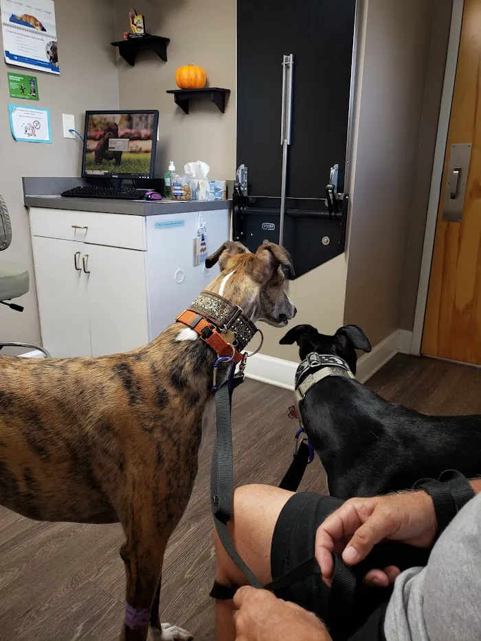 Airport Road Animal Clinic 12