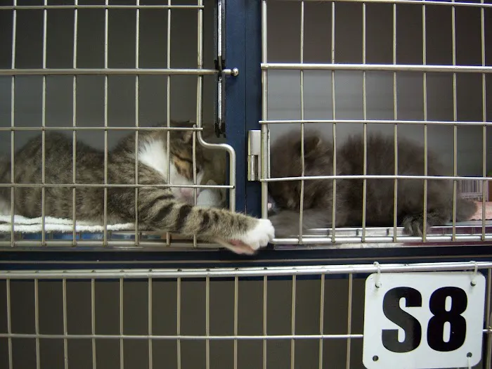 Airport Road Animal Clinic 12
