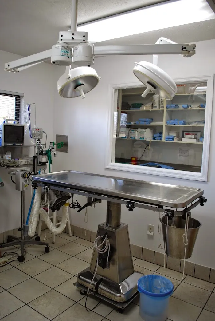 Airport Road Animal Clinic 12