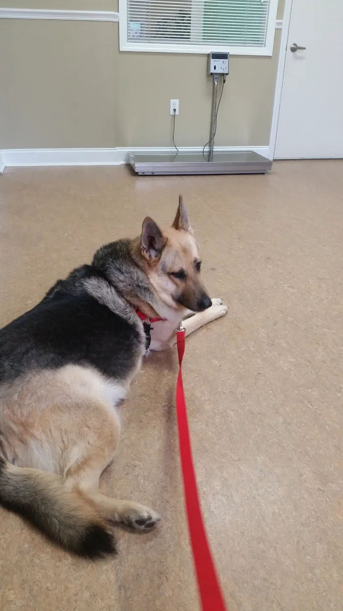 Midtown Animal Clinic 12