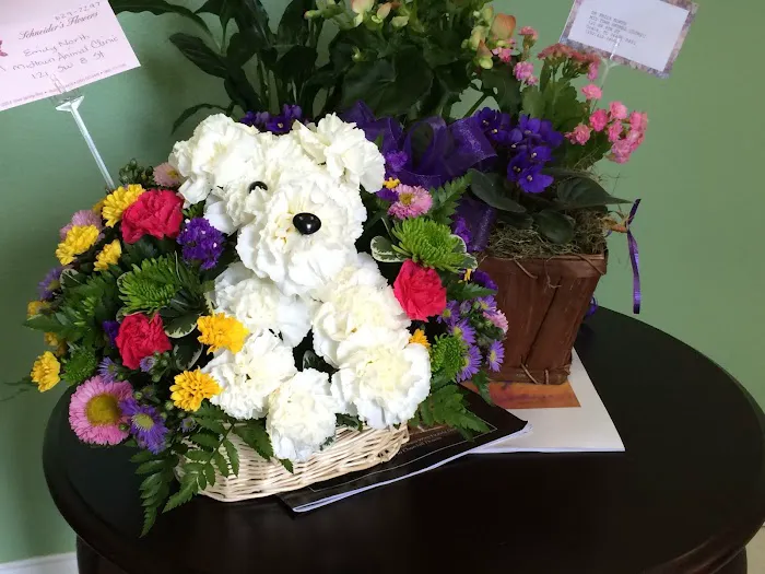 Midtown Animal Clinic 12